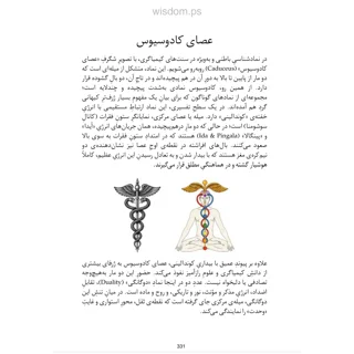 نمونه ۶ صفحه کتاب نمادگرایی نوشته هری بی جوزف