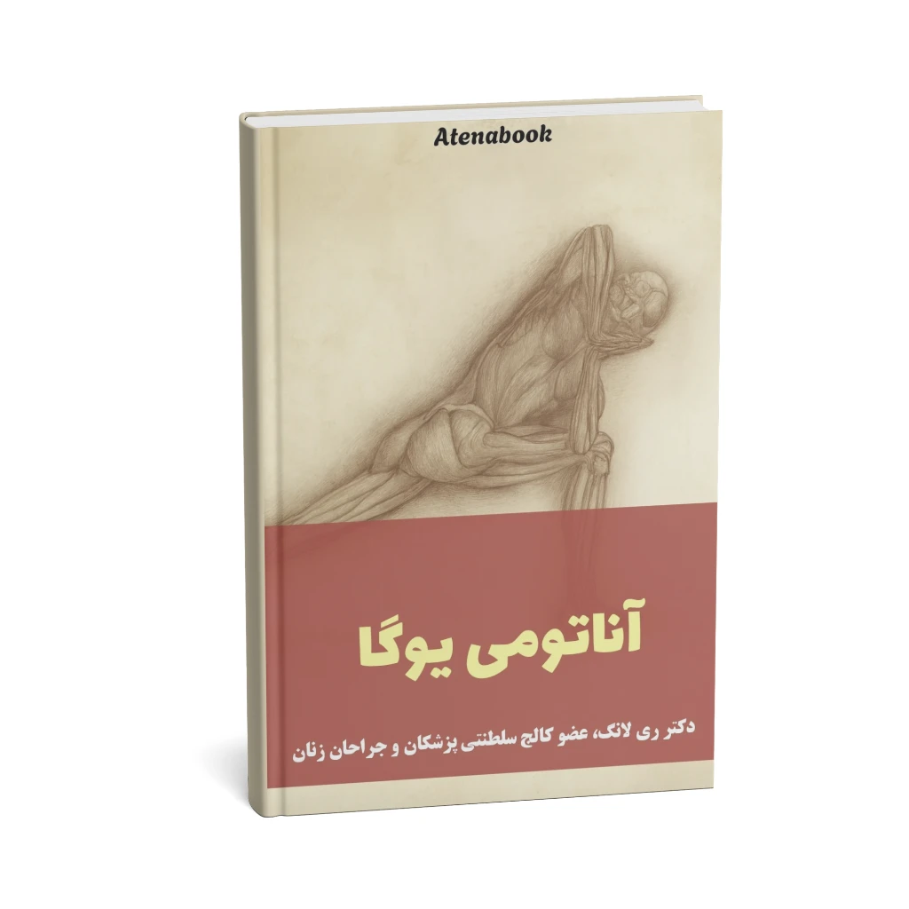 آناتومی یوگا 