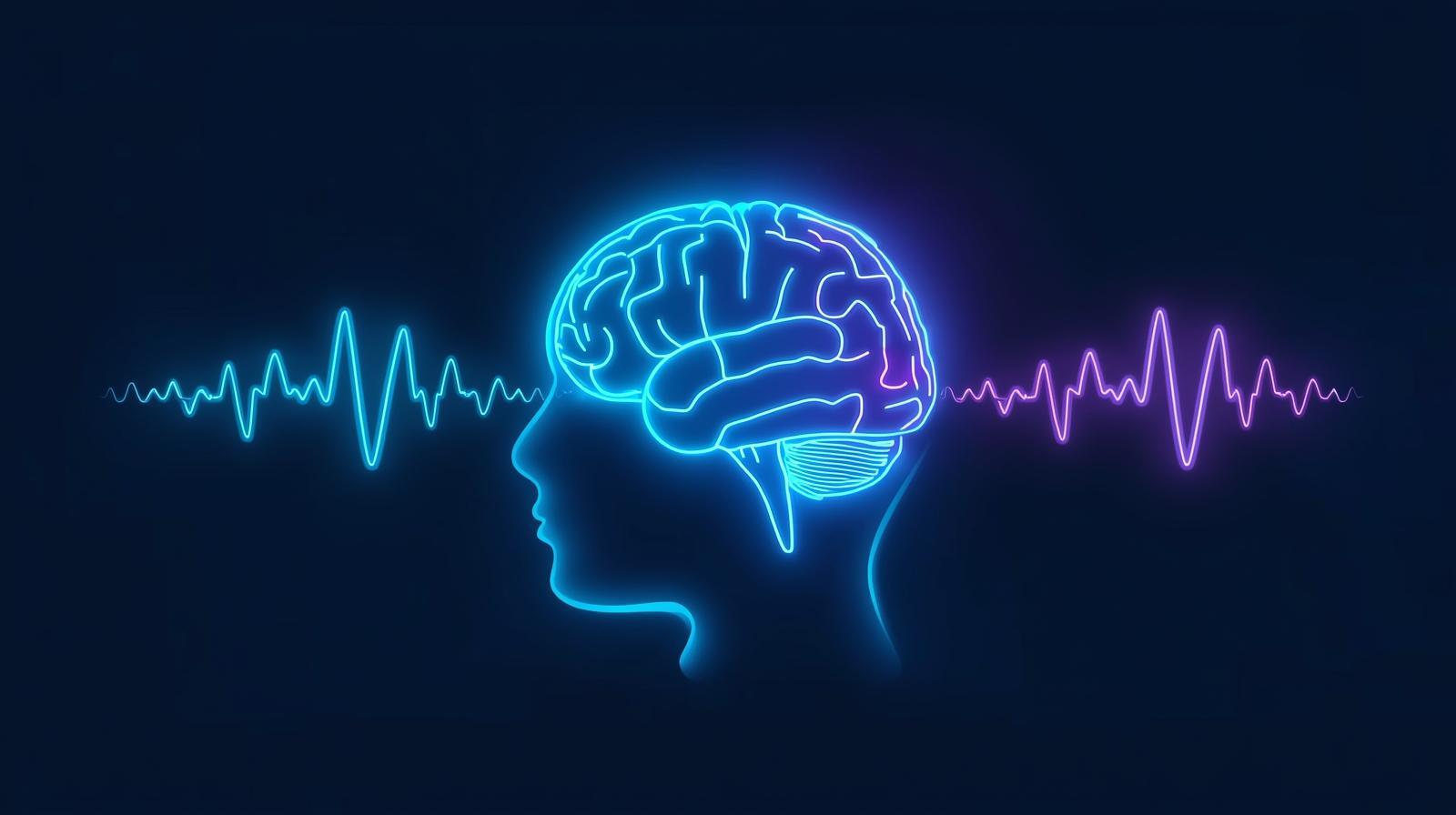 انواع امواج مغزی آلفا بتا و تتا در حالت آرامش و تمرکز