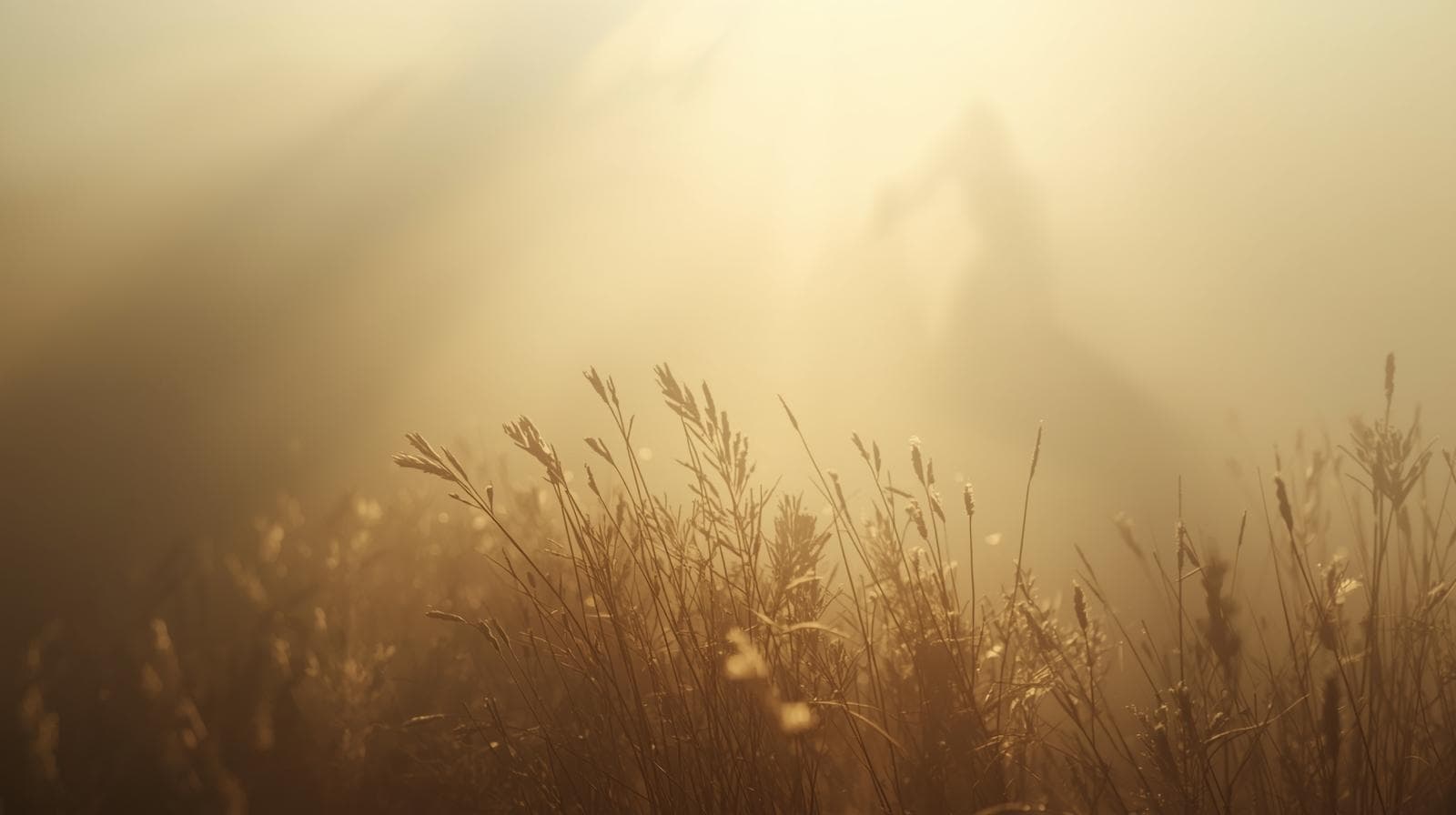 بیداری خاموش