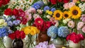 نمادهای گل: راهنمای جامع معنی و فلسفه گلها