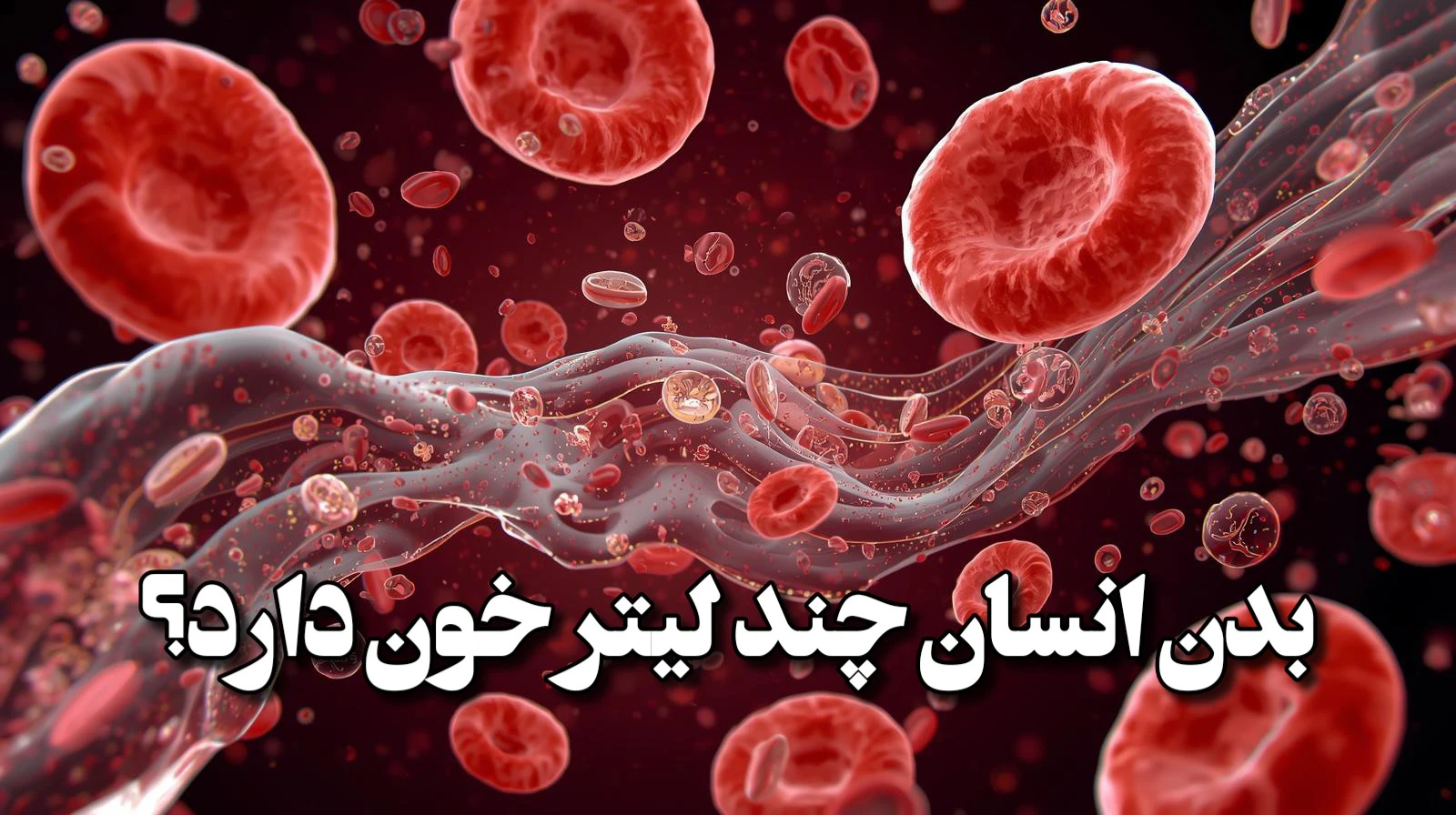 بدن انسان چند لیتر خون دارد؟ (مردان، زنان و کودکان)