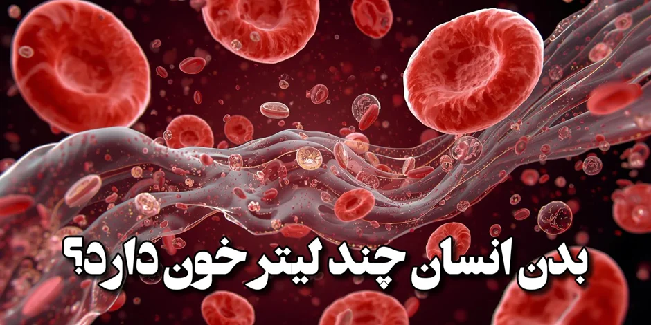 بدن انسان چند لیتر خون دارد؟ (مردان، زنان و کودکان)